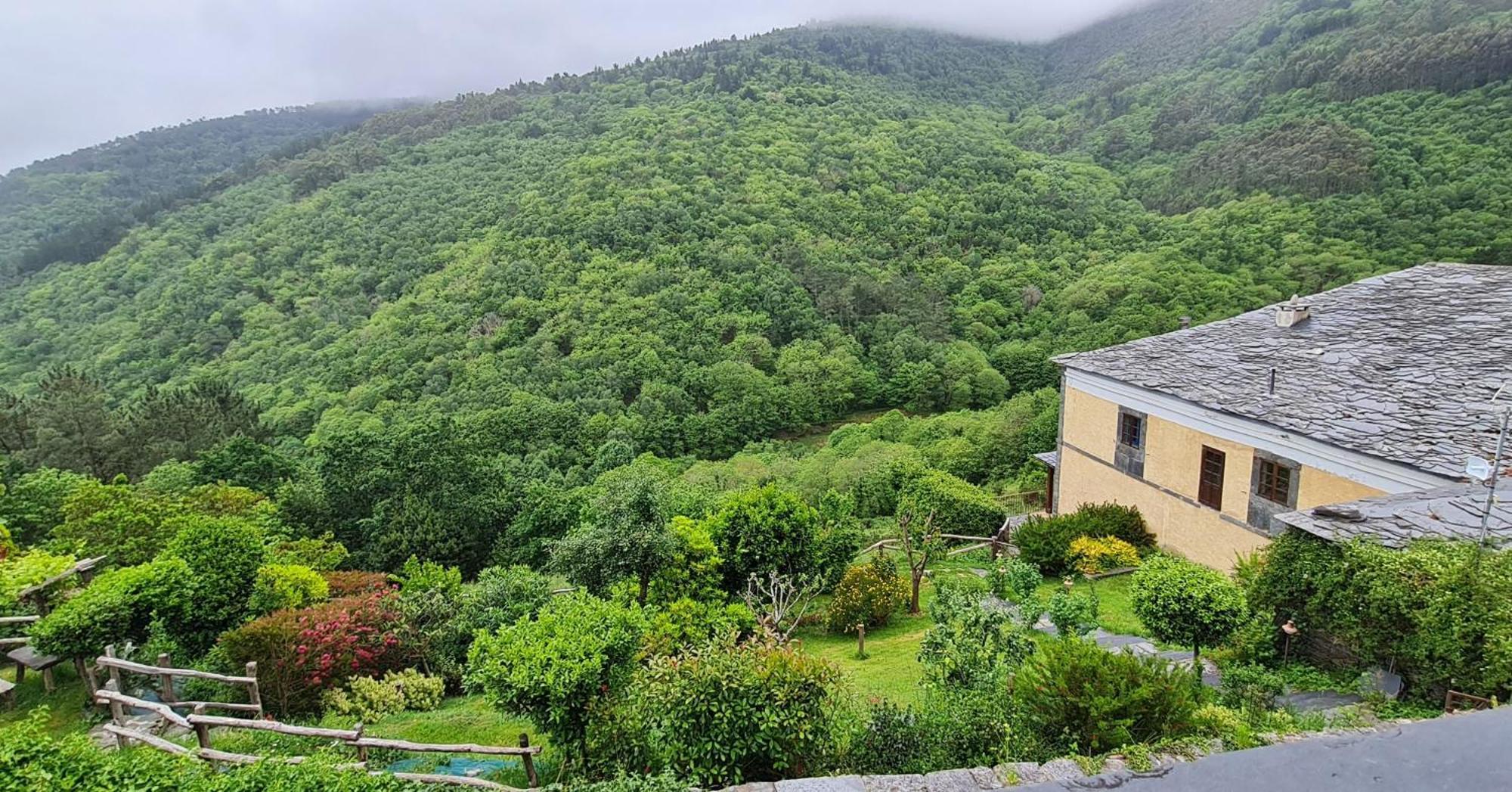 Apartamentos Rurales El Bosque De Las Vinas Boal Eksteriør bilde